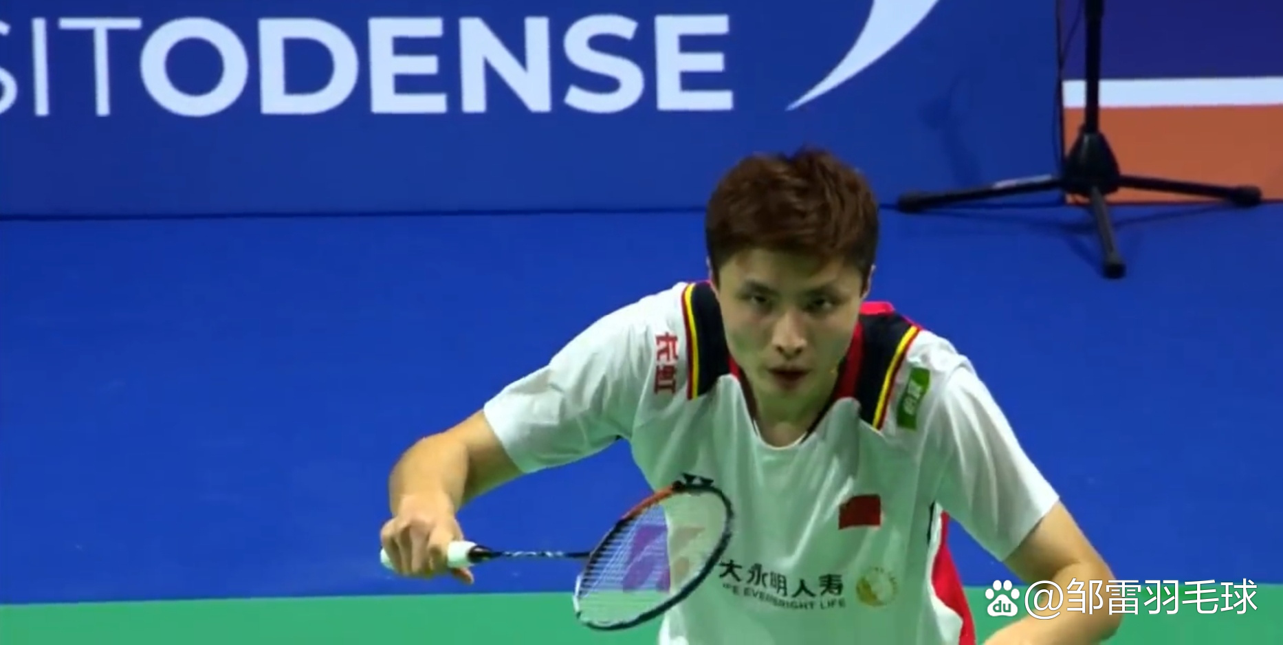 德国队横扫丹麦队，李梓嘉带队取胜