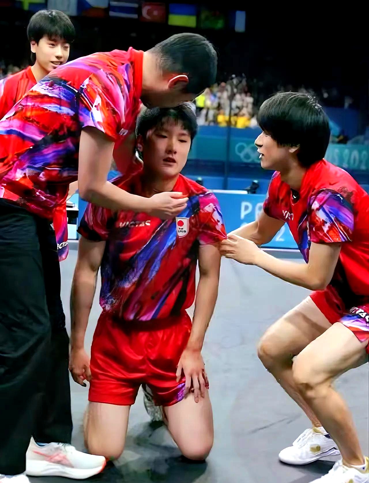 法国队鏖战奥地利队,张本智和统治全场 法国队鏖战奥地利队,张本智和统治全场