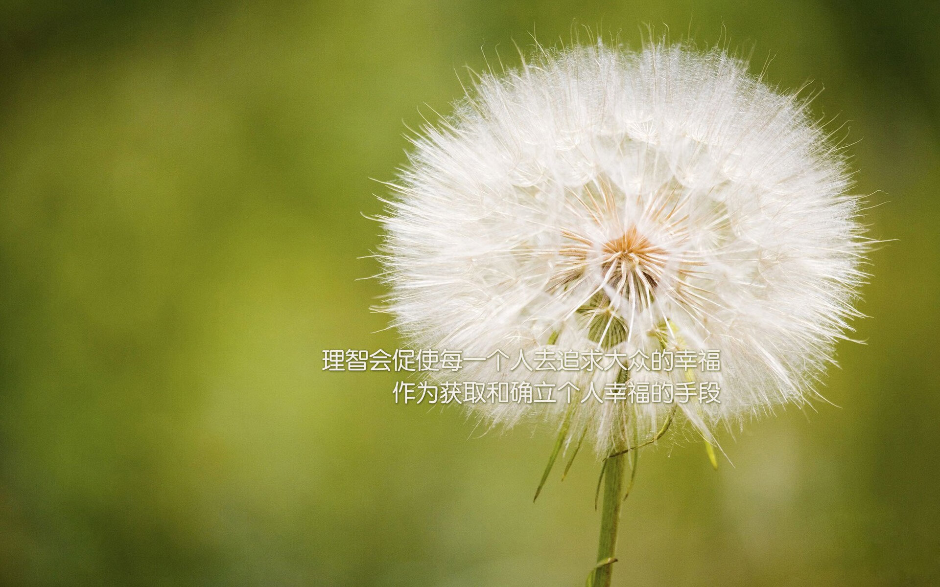 意甲焦点战在篮球场重演，尼克斯终场绝杀开拓者