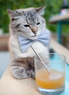 爵士血拼尼克斯，世界排名争夺战的焦点对决