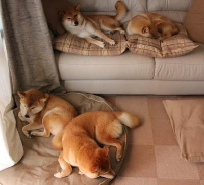 爵士血拼尼克斯，世界排名争夺战的焦点对决