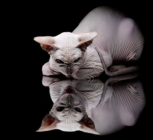 双面足球，个人英雄与体系铁律