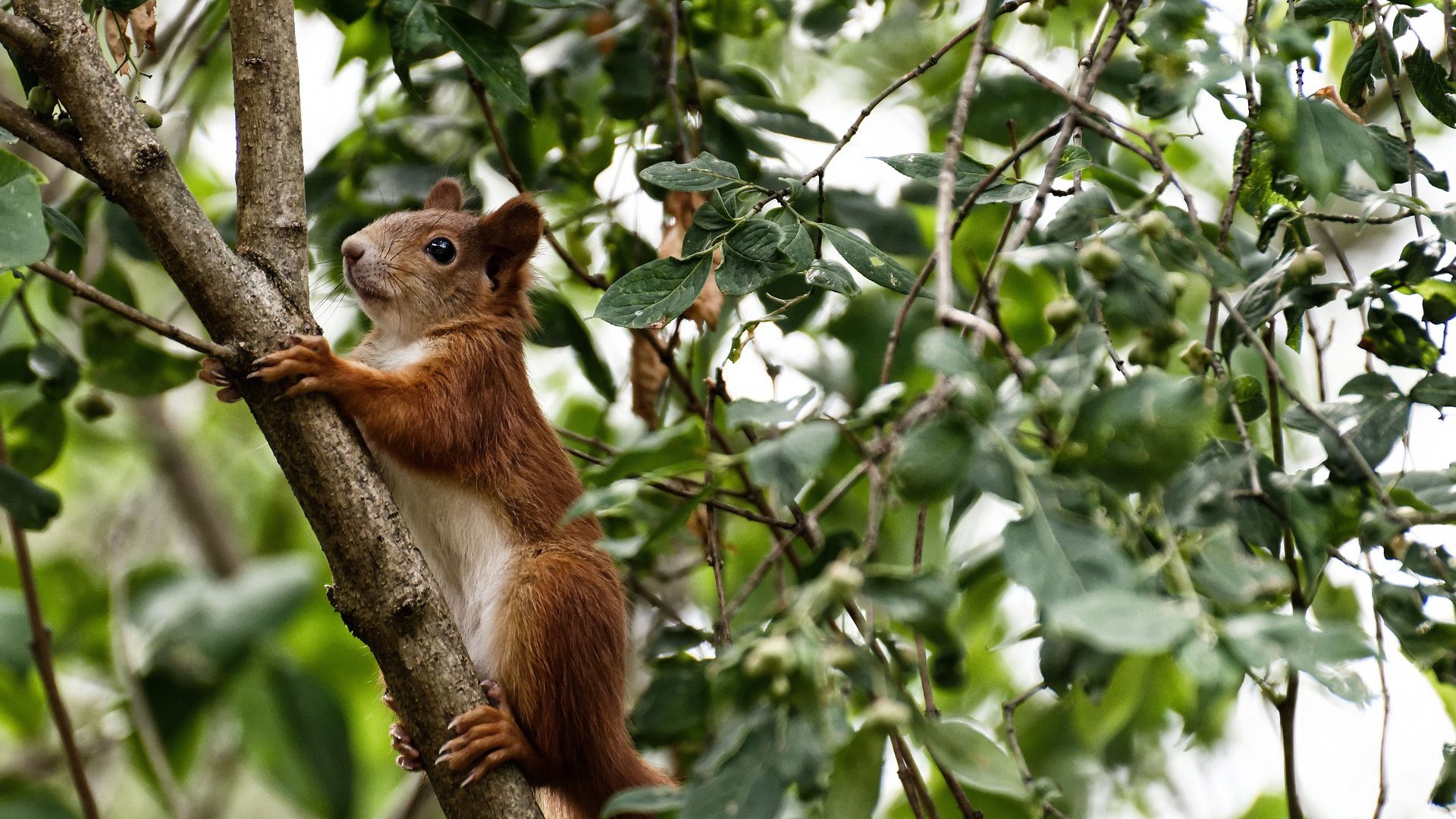 广厦整体压制如潮，贝恩硬仗解局似刀