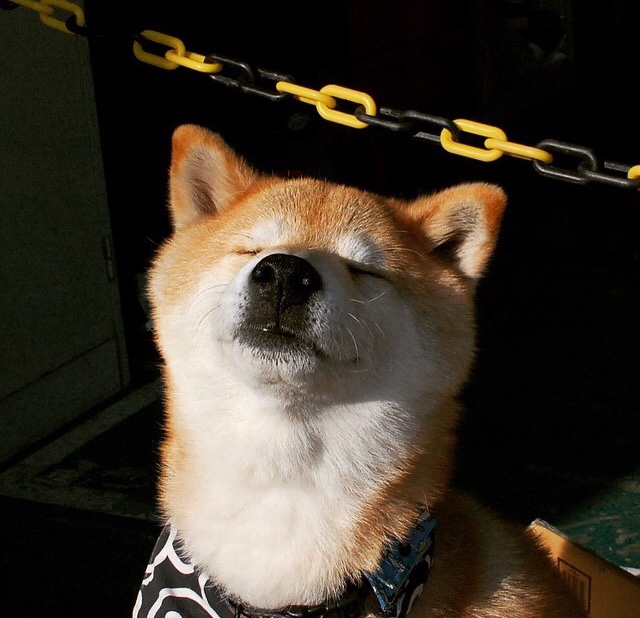 慈善赛巨星闪耀，福登在法国对阵南非联队中展现无可替代的价值