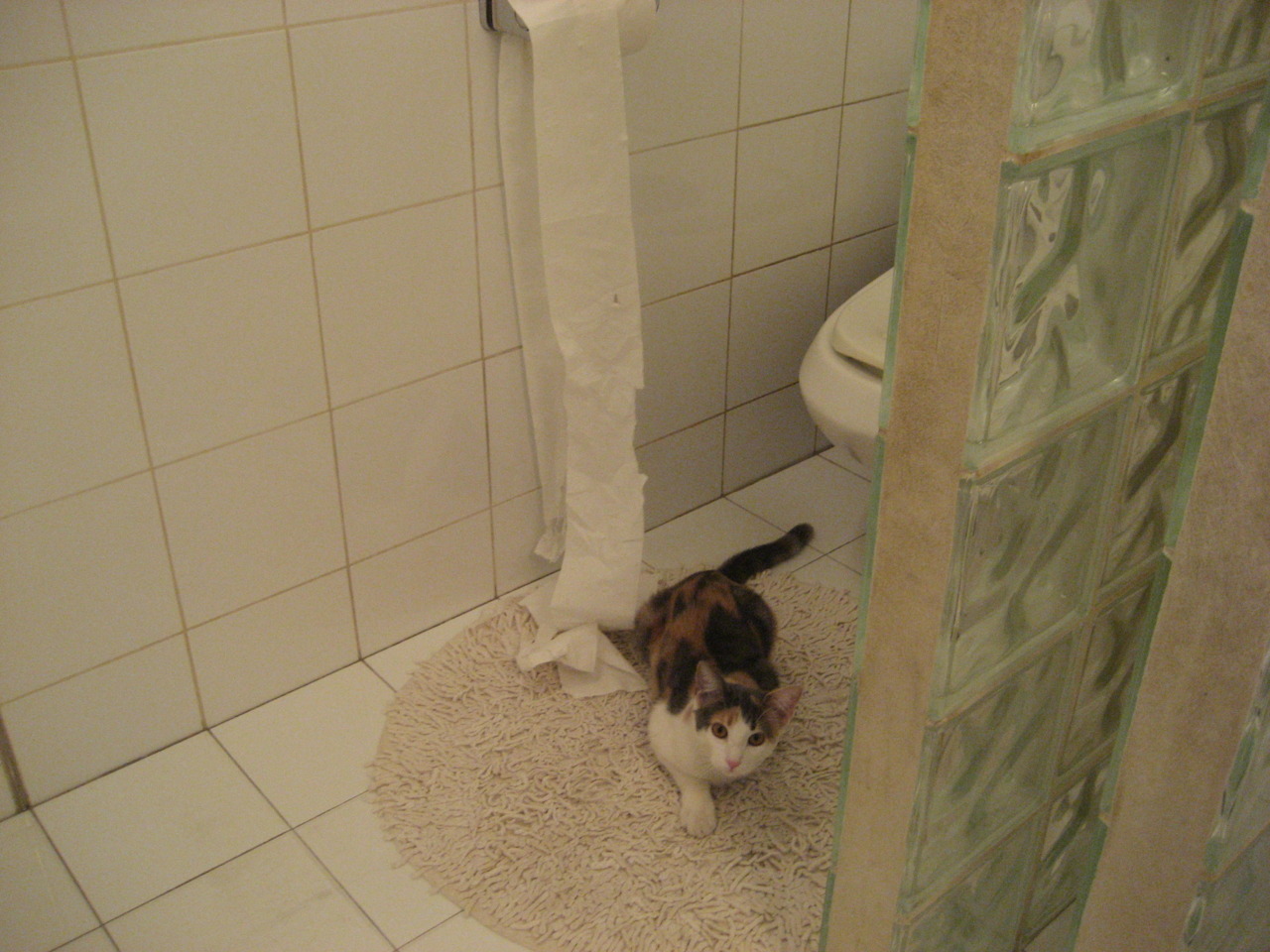 刀锋上的冷焰，内马尔的关键基因与摩纳哥的芬兰刀