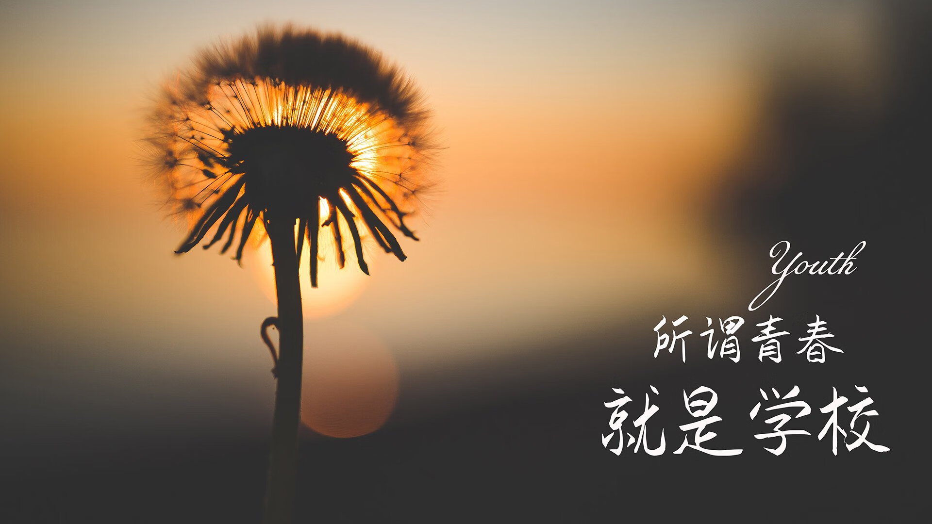 绿茵场上的最后倔强，墨西哥压制日本，苏亚雷斯的致命一击让2026世界杯H组震颤