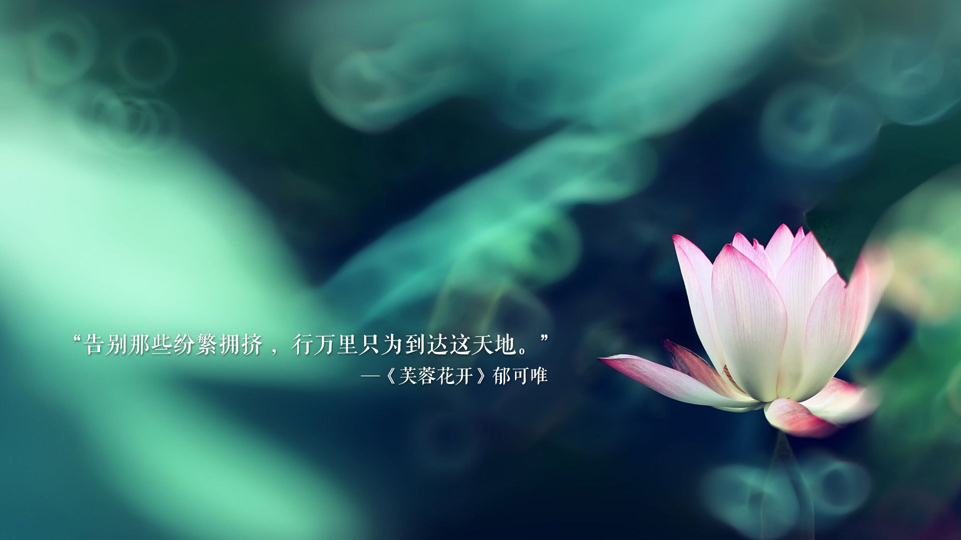 沙漠玫瑰的末日狂花,当莱万身披红衫完成绝命一击,2026的A组上演了世界杯史上最诡异的冷门