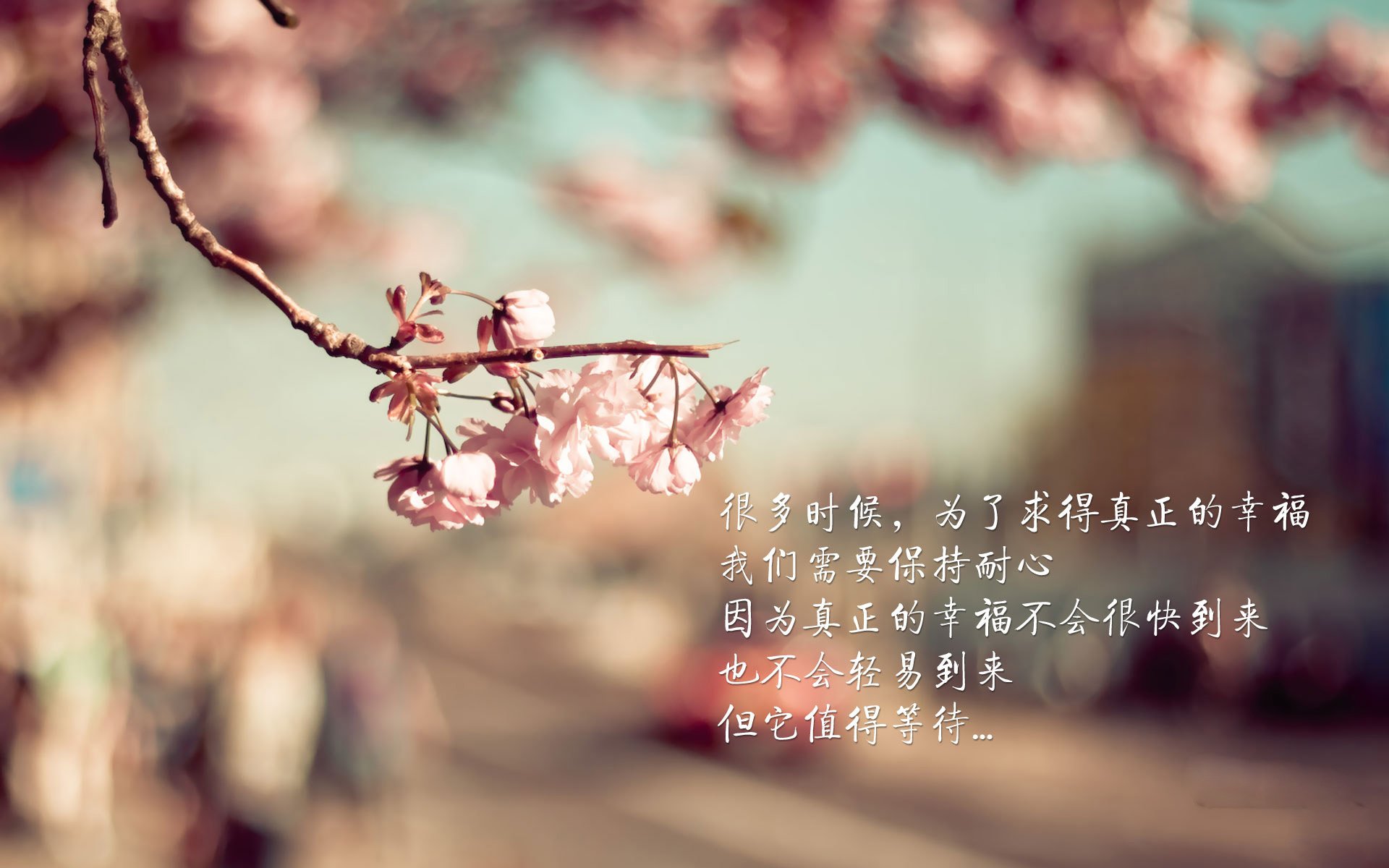 高原血脉的冰封,当星火点燃潘帕斯,阿方索·戴维斯与智利战车碾碎斗牛士的黄金回响