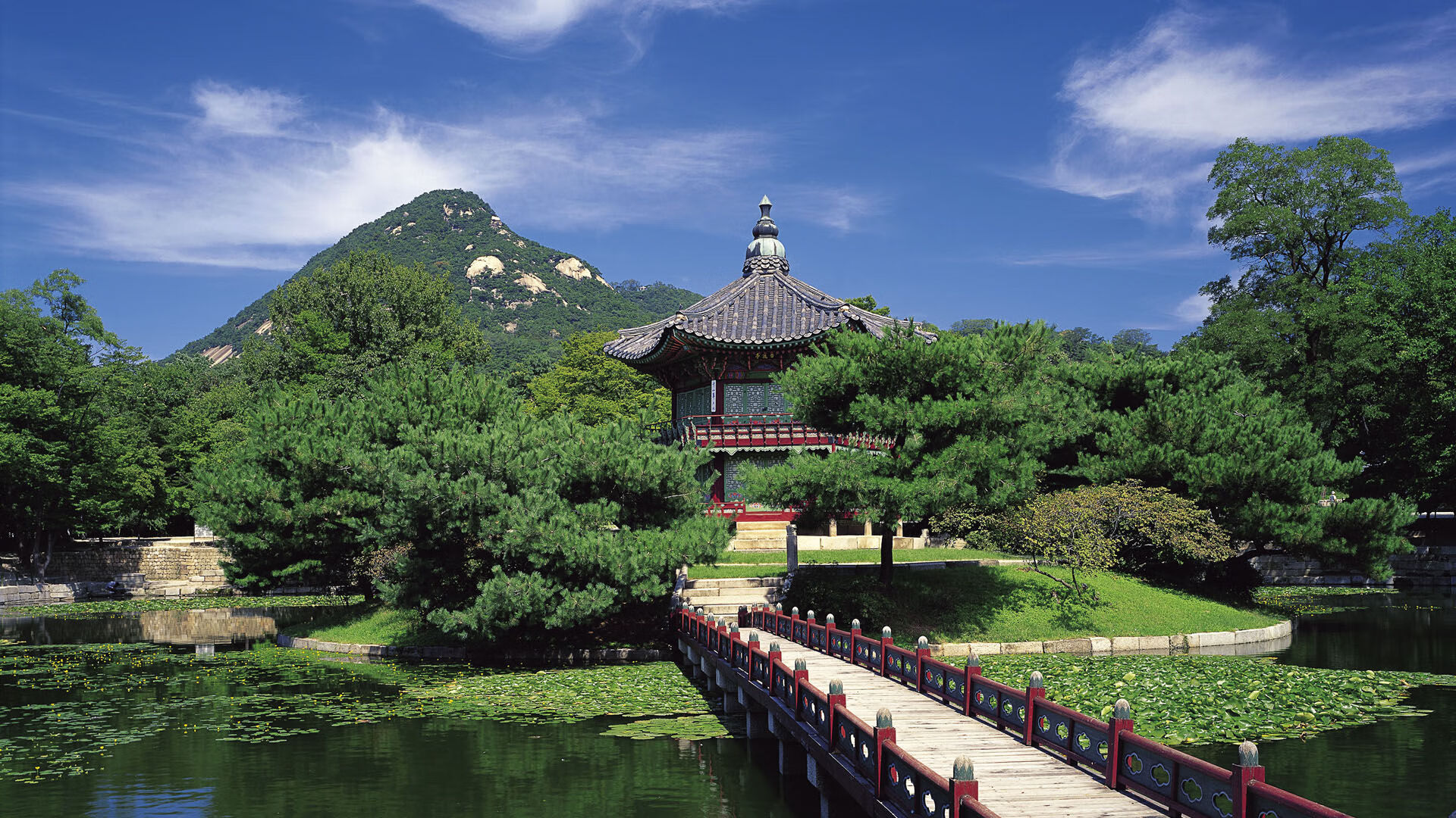 沙漠之狐吞噬雄狮,努涅斯与门神共铸史诗,沙特在喀麦隆的废墟上刻下唯一的2026通行证